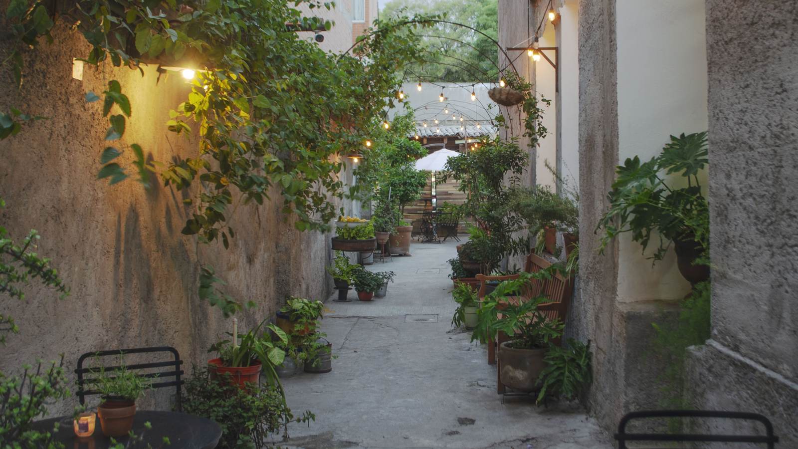 Pasillo del jardín iluminado con foquitos